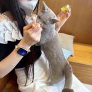 ヒメ日記 2026/06/16 10:48 投稿 まい 東京アロマスタイル