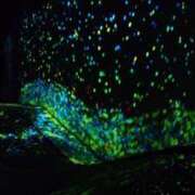 ヒメ日記 2025/09/04 12:18 投稿 ひまわり 熟女の風俗最終章　越谷店