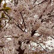 ヒメ日記 2026/04/05 13:08 投稿 綾部　まりん #性欲解放区