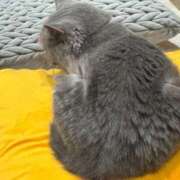 ふう 【お礼です❤️】 多恋人倶楽部　宇部店