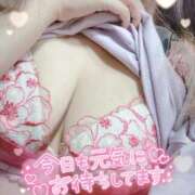 ヒメ日記 2025/09/12 14:45 投稿 らむ One More 奥様 鶯谷店