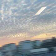 ヒメ日記 2025/09/23 15:11 投稿 らむ One More 奥様 鶯谷店