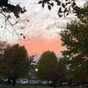 ヒメ日記 2025/11/11 17:40 投稿 らむ One More 奥様 鶯谷店