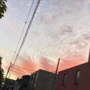 ヒメ日記 2026/02/19 10:00 投稿 らむ One More 奥様 鶯谷店