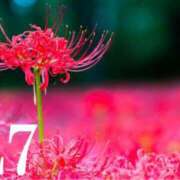 ヒメ日記 2025/09/26 08:31 投稿 らな 池袋人妻城