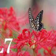 ヒメ日記 2025/10/05 12:33 投稿 らな 池袋人妻城