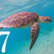 ヒメ日記 2025/11/16 20:18 投稿 らな 池袋人妻城