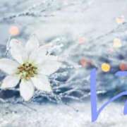 ヒメ日記 2026/01/25 14:03 投稿 らな 池袋人妻城