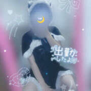 つき はぴたむ〰️🍁 ビギナーズ和歌山