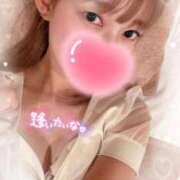 ヒメ日記 2026/02/05 21:53 投稿 桜庭　まいな ミスターダンディー