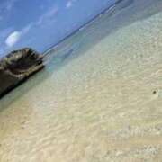 ヒメ日記 2025/08/05 18:29 投稿 瀬戸　あすみ イラマチーオ新宿店