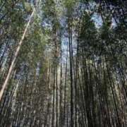 ヒメ日記 2025/08/27 19:59 投稿 瀬戸　あすみ イラマチーオ新宿店