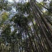 ヒメ日記 2025/07/27 13:59 投稿 瀬戸　あすみ SM東京　新宿店