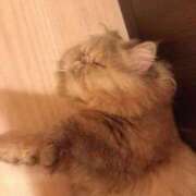 ヒメ日記 2025/07/30 18:19 投稿 瀬戸　あすみ SM東京　新宿店