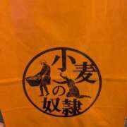 ヒメ日記 2025/08/19 13:29 投稿 藤田ようこ 全裸革命orおもいっきり痴漢電車