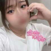 ヒメ日記 2025/11/27 00:39 投稿 のん 白いぽっちゃりさん五反田店