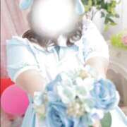 ヒメ日記 2026/03/13 00:19 投稿 のん 白いぽっちゃりさん五反田店