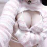 ヒメ日記 2026/03/15 01:09 投稿 のん 白いぽっちゃりさん五反田店