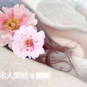 ヒメ日記 2025/07/17 01:27 投稿 はる 厚木人妻城