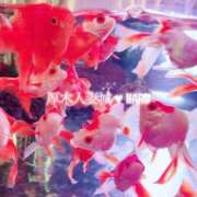 ヒメ日記 2025/08/18 09:49 投稿 はる 厚木人妻城