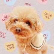 ヒメ日記 2025/09/05 10:07 投稿 はる 厚木人妻城