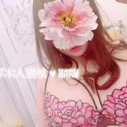 ヒメ日記 2025/09/10 15:07 投稿 はる 厚木人妻城