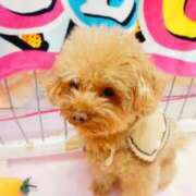 ヒメ日記 2025/10/02 10:39 投稿 はる 厚木人妻城