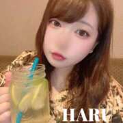 ヒメ日記 2025/10/29 14:34 投稿 はる 厚木人妻城