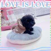 ヒメ日記 2025/12/04 10:54 投稿 はる 厚木人妻城