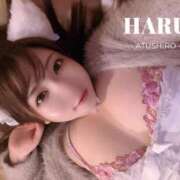 ヒメ日記 2025/12/11 12:11 投稿 はる 厚木人妻城