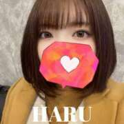 ヒメ日記 2025/12/12 12:23 投稿 はる 厚木人妻城