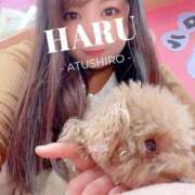 ヒメ日記 2025/12/14 15:35 投稿 はる 厚木人妻城