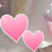 ヒメ日記 2025/07/23 00:00 投稿 なみ 石庭