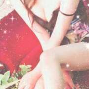 ヒメ日記 2025/07/23 01:00 投稿 なみ 石庭