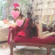 ヒメ日記 2025/07/25 01:01 投稿 なみ 石庭