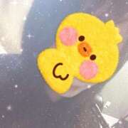 ヒメ日記 2025/08/03 01:00 投稿 なみ 石庭