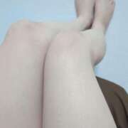 ヒメ日記 2025/08/03 10:21 投稿 なみ 石庭