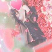 ヒメ日記 2025/08/12 13:00 投稿 なみ 石庭