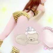 ヒメ日記 2025/08/14 08:20 投稿 なみ 石庭