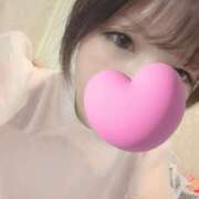 ヒメ日記 2025/08/23 14:20 投稿 なみ 石庭