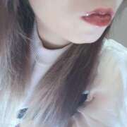 ヒメ日記 2025/08/26 10:20 投稿 なみ 石庭