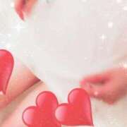 ヒメ日記 2025/09/20 20:20 投稿 なみ 石庭