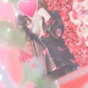 ヒメ日記 2025/10/27 22:00 投稿 なみ 石庭