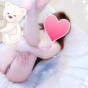 ヒメ日記 2025/11/03 17:20 投稿 なみ 石庭