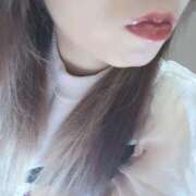 ヒメ日記 2025/11/03 22:20 投稿 なみ 石庭