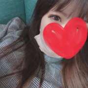 ヒメ日記 2025/11/27 10:00 投稿 なみ 石庭