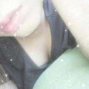 ヒメ日記 2025/12/21 18:10 投稿 なみ 石庭