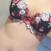 ヒメ日記 2026/02/22 22:20 投稿 なみ 石庭