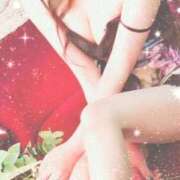 ヒメ日記 2026/02/24 13:30 投稿 なみ 石庭