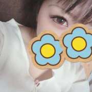 ヒメ日記 2026/02/27 10:50 投稿 なみ 石庭